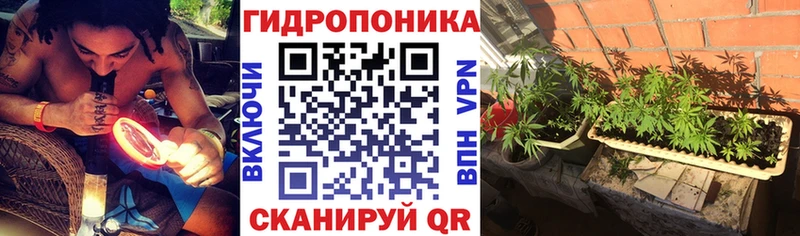 Бошки марихуана LSD WEED  Купить закладки  Полевской 
